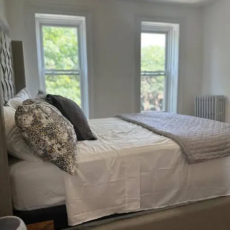 Bedstuy Beauty Apartment